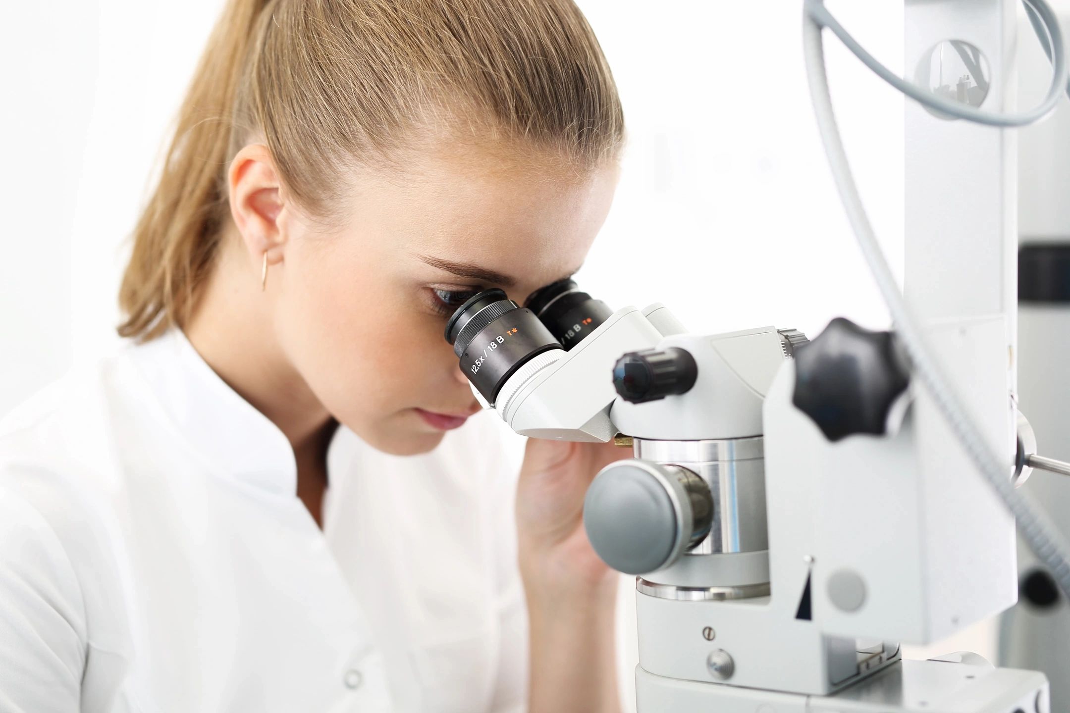 Laboratorio di Analisi